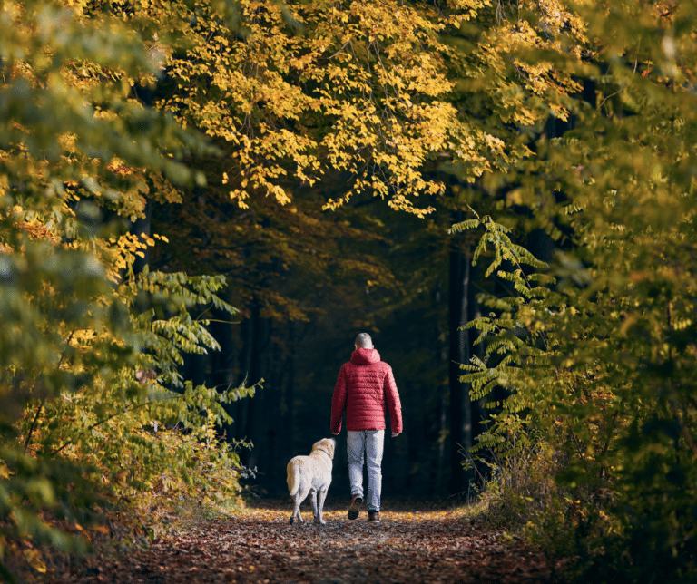 promener-son-chien